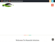 Tablet Screenshot of maxmilesolutions.com